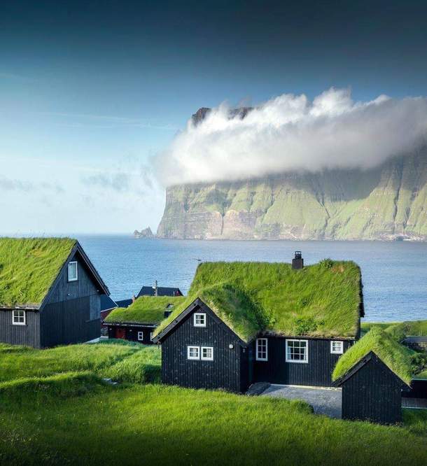 Sod roofs in the Faroe Islands