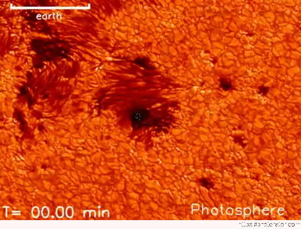 Solar granules and sunspots on the surface of the Sun The sunspots are darker because theyre cooler than the granules A single granule in this image is larger than the state of Texas