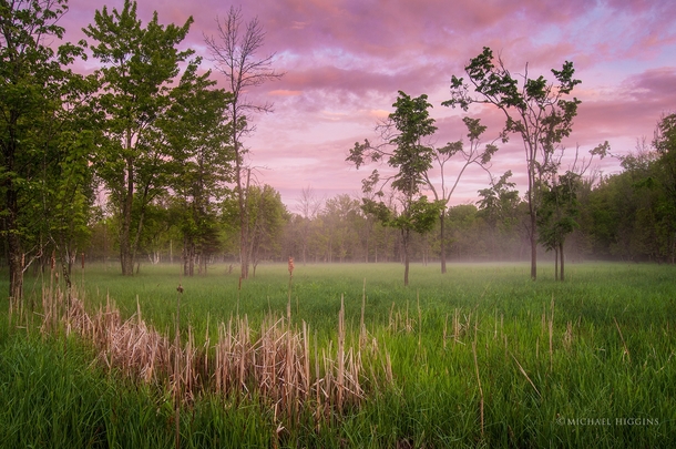 Some mist began to develop as I photographed this clearing in Ottawa Ontario  x Michael Higgins