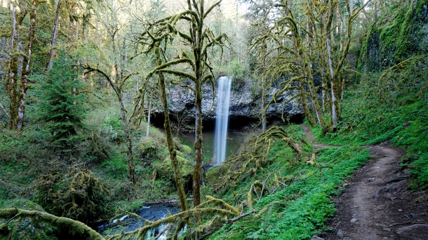 Sometimes it feels like every path in Oregon leads to waterfalls 