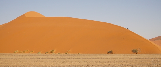 Sossusvleis Dune  Sand Dune 