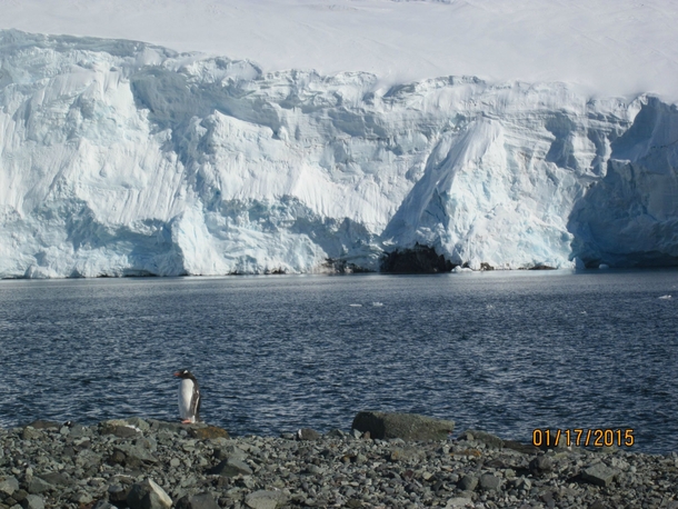 South Shetland Islands Antarctica 