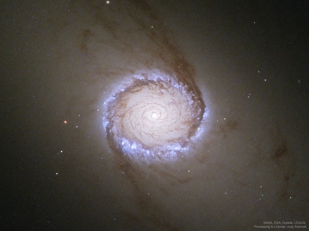 Spiral Galaxy NGC  The Nuclear Ring 