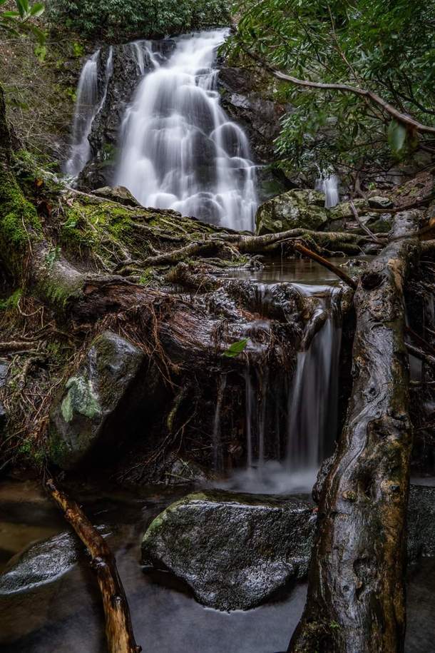 Spruce Flats Falls in the Great Smoky Mountains Tennessee USA 