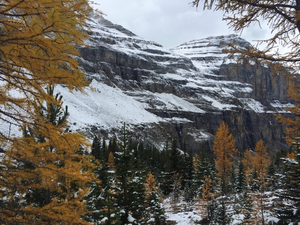 Stanley Glacier trail after our summer snowfall Yoho national park 