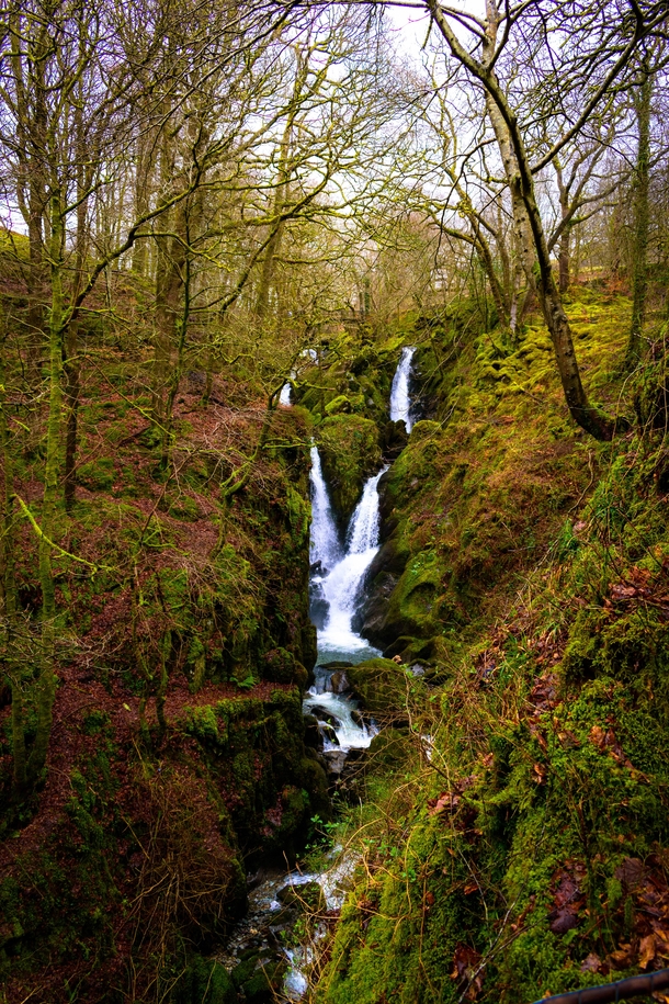 Stock Ghyll Force waterfall Ambleside Lake District UK  IG saintdle