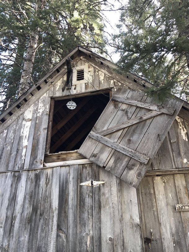 Strangely photogenic ruined barn in the woods