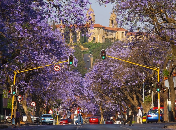 Struben Street and Union Buildings Pretoria South Africa 