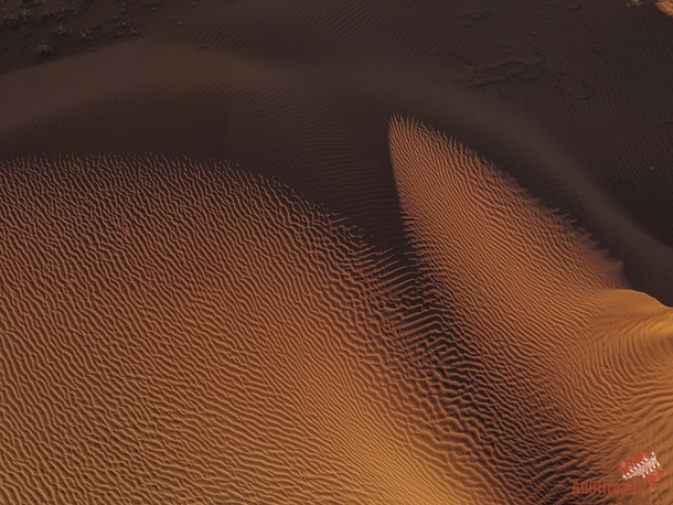 Strzelecki Desert Australia a perfect remote Desert Dune    