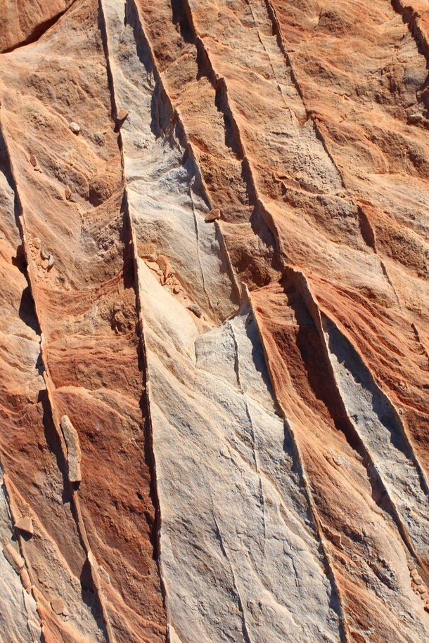 Stumbled across this awesome geology hiking through the Valley of Fire Its fascinating and makes me want tiramisu 