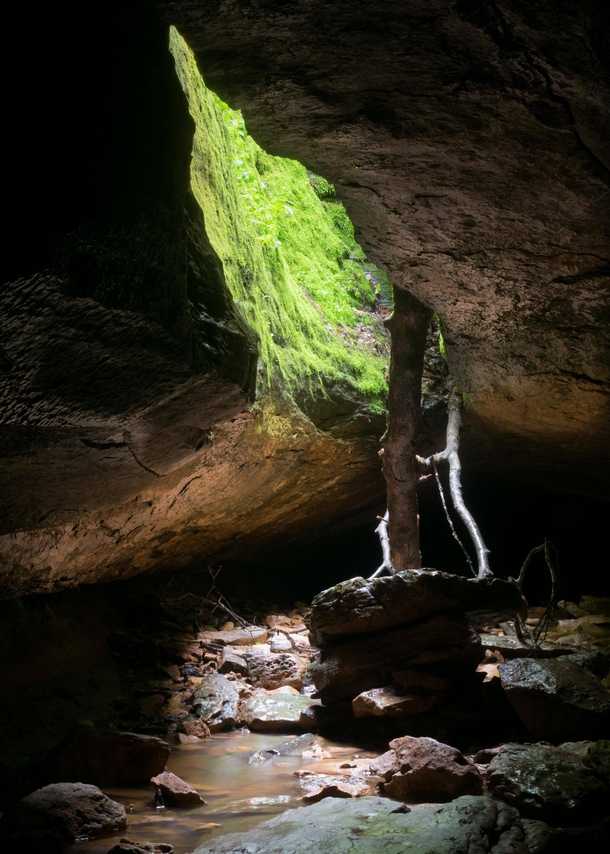 Summers Relief in a Missourian Cave 