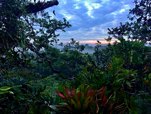 Sun rising over the Amazon rainforest - Tiputini Biodiversity Station Ecuador 