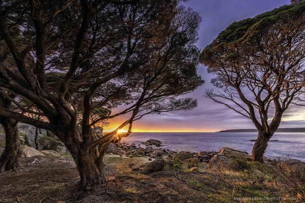 Sunrise at Bunker Bay Western Australia oc x