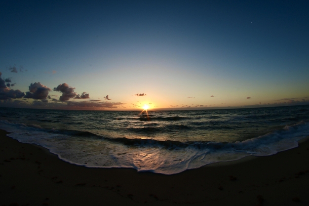 Sunrise at the beach   x 