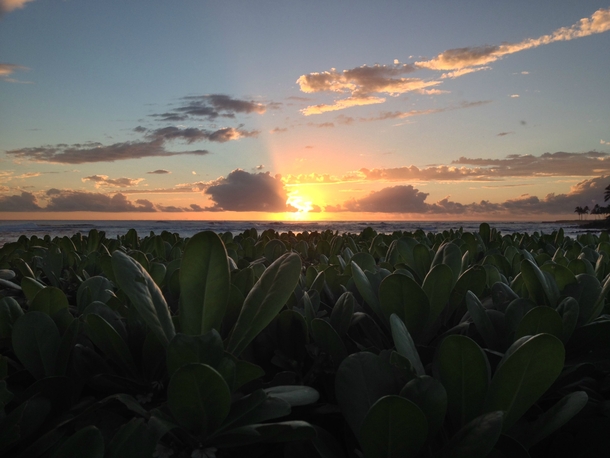 Sunset in Kauai - Hawaii 