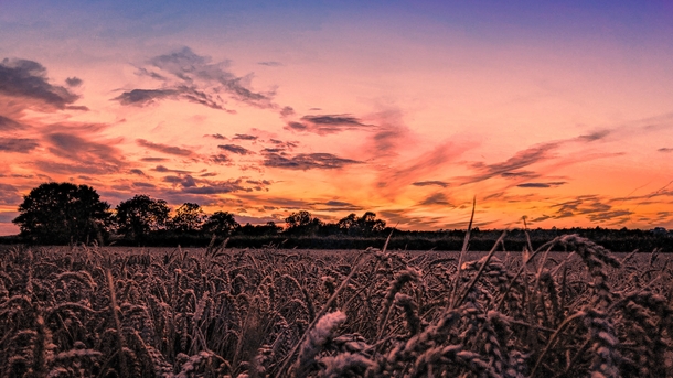 Sunset in Rockingham Northamptonshire UK   OC