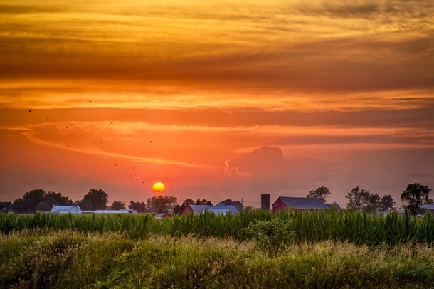 Sunset near Nappanee Indiana by Michael Matti 