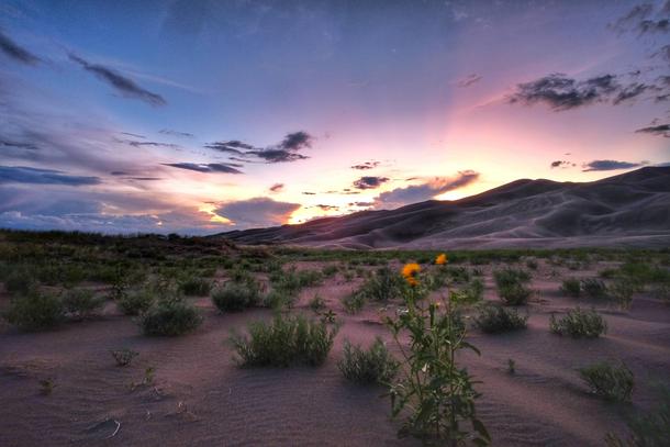 Sunset on the dunes Great Sand Dunes National Park Co 