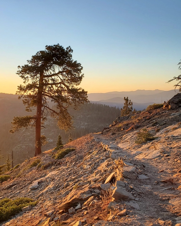 Sunset on the trail Sequoia National Park CA USA 