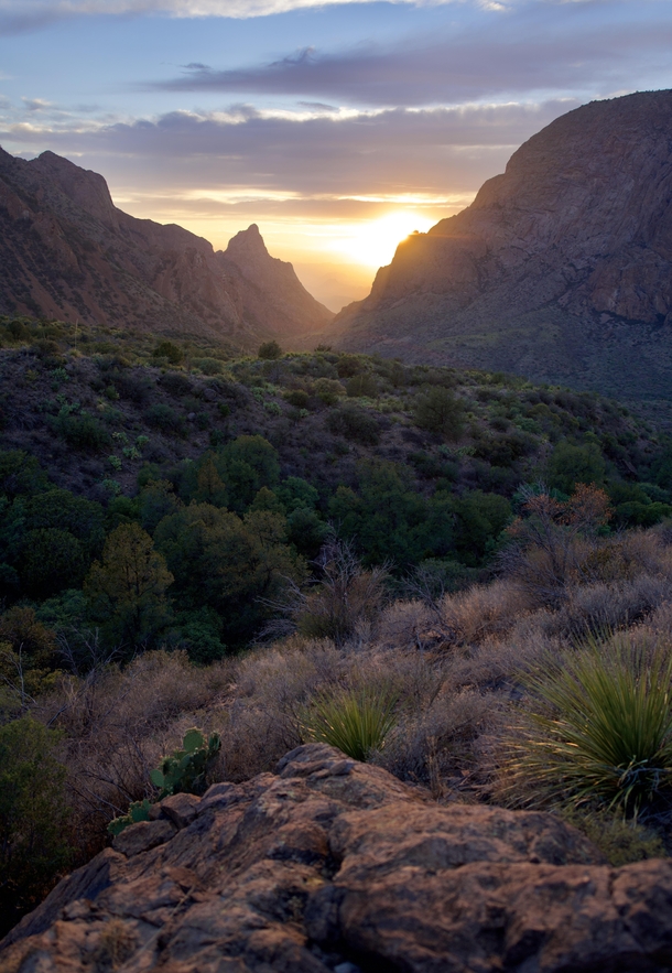 Sunset over the Chihuahua Desert at Big Bend National Park OC 