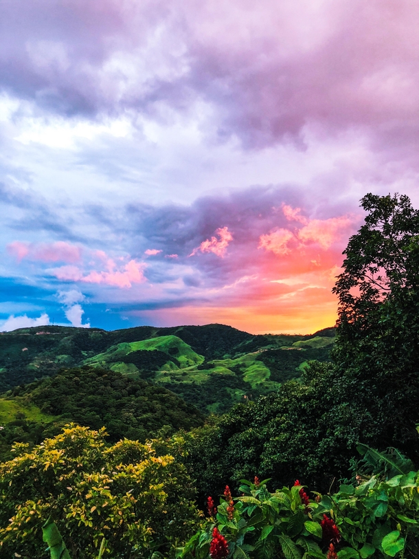 Sunset view from the coffee farm we stayed at in Monteverde Costa Rica 