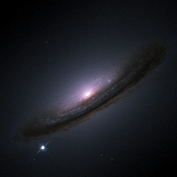 Supernova D in galaxy NGC  