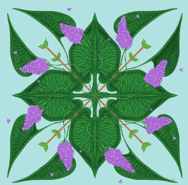 Syringa Vulgaris  I am working on some stylised botanical designs for tiles and fabrics this is my take on lilac