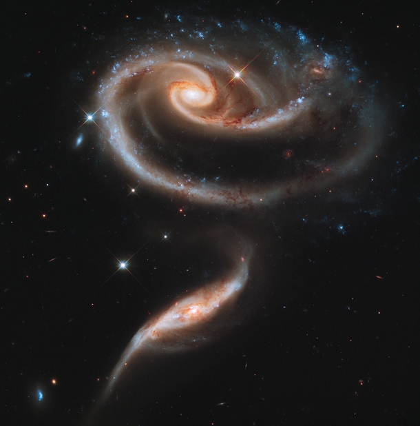 Taken in celebration of HSTs st anniversary these two galaxies appear to have formed a space Rose 