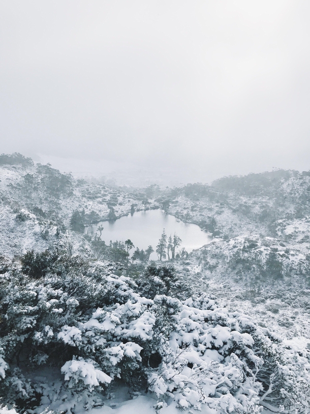 Taken today in Cradle Mountain Tasmania Hope the north is enjoying the summer weather Image from raustralia 