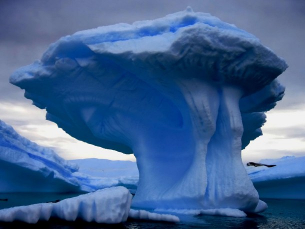 Tall and beautiful blue mushroom-like iceburg 