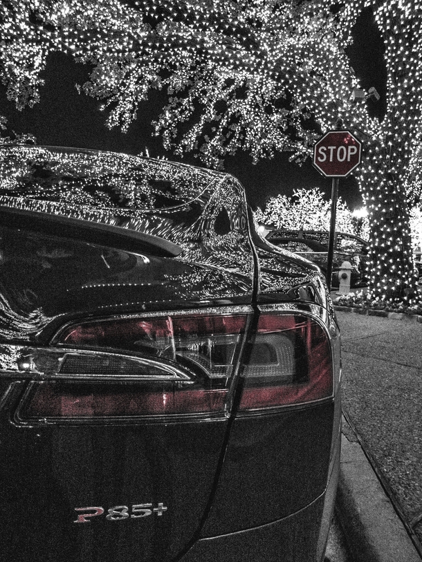 Tesla P under a lighted tree 