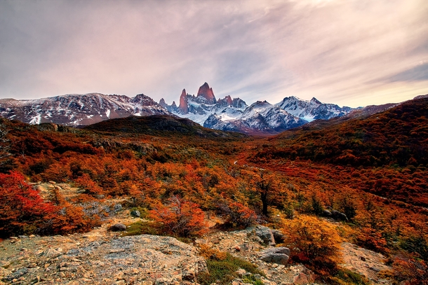 thats how autumn in patagonia looks like 