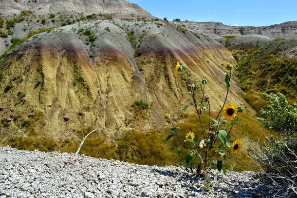 The Amazing Colors of the Badlands National Park SD - Happy Earth Day x 