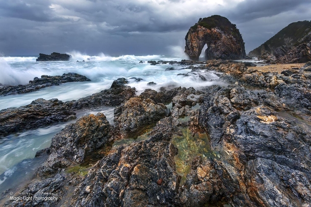 The amazing Horsehead Rock in Bermagui on the south coast of New South Wales Australia 
