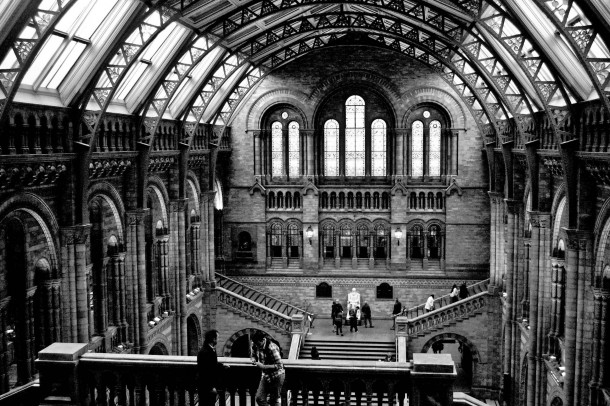 The amazing Natural History Museum London 
