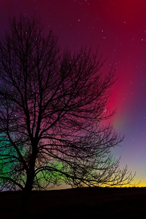 The Aurora Borealis Photo by Andrew Cameron 
