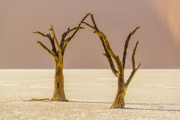 The austere beauty of Deadvlei Namibia  by Daniel Burton