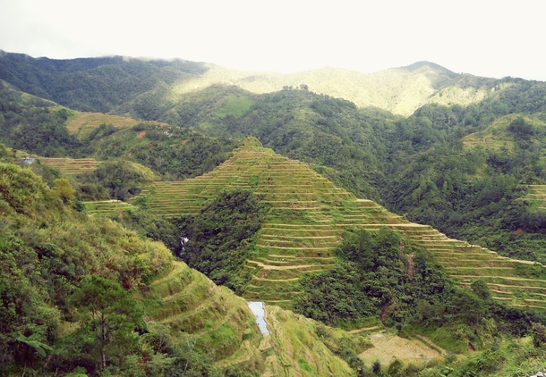 The Banaue Rice Terraces of Ifugao  x-post rPhilippinesPics