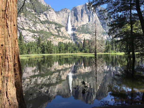The beautiful El Capitan Mountain in Yosemite National Park California USA  x  