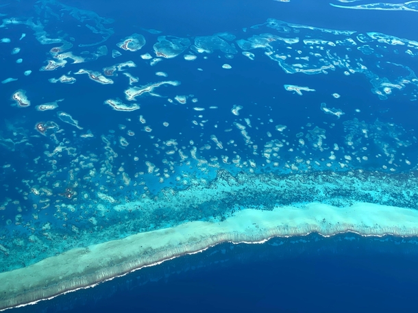 The coast of Belize 
