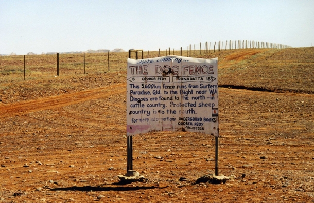 The Dingo Fence a  km long fence completed in  to keep dingoes out of south-east Australia 