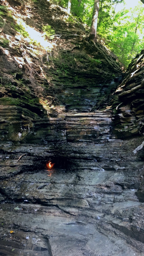 The Eternal Flame Falls at Chestnut Ridge Park NY 