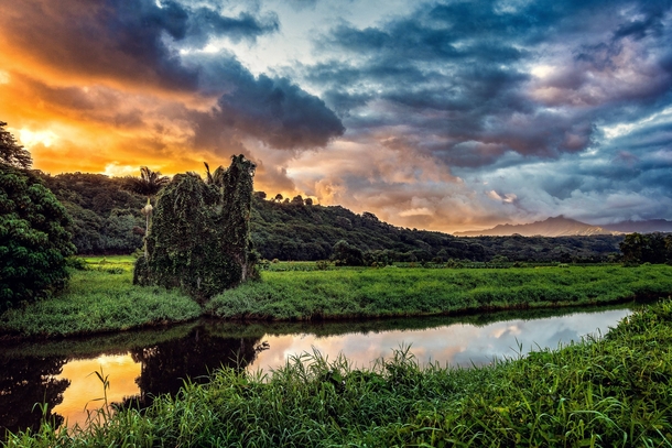The Farmlands of Kauai OC 