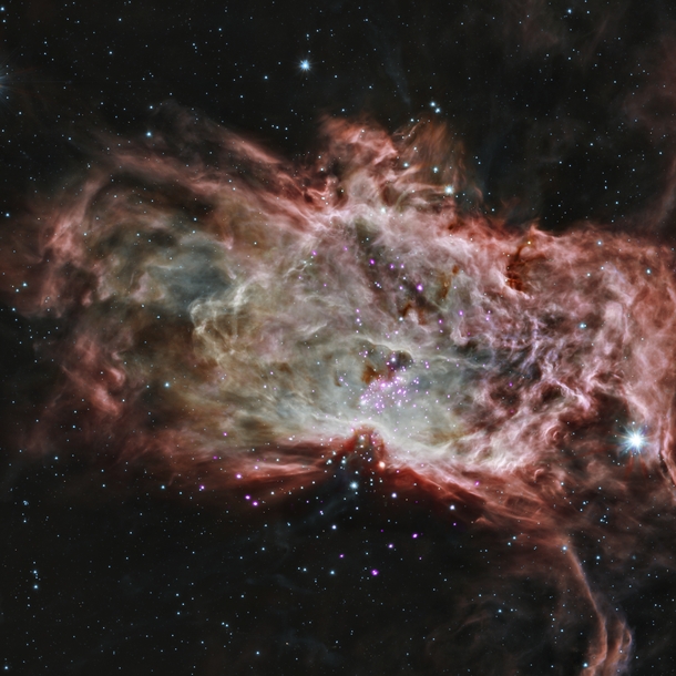 The Flame Nebula 