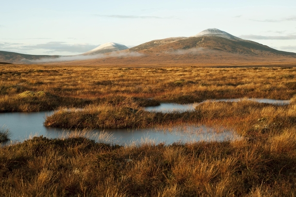 The Flow Country Northern Scotland This is the largest bog in Europe and the last real wilderness in Britain Photo by Eleanor Bentall 