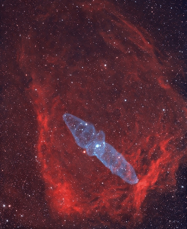 The Flying Bat Nebula and the Giant Squid Nebula in the constellation Cepheus the King some  light-years away