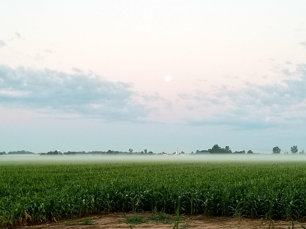 The fog lifting over our farm this morning and the moon setting OC 