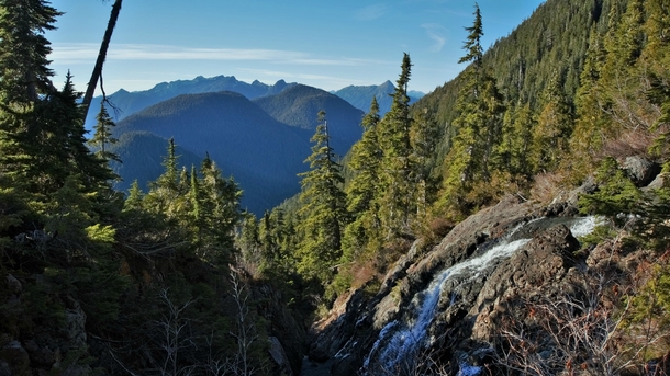 The forest and mountains near Tofino Vancouver Island 
