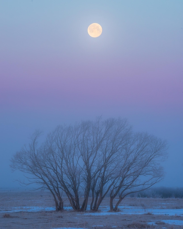The full moon on a foggy morning in southeast Saskatchewan 