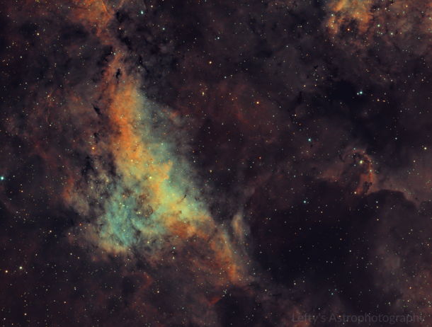 The Gamma Cygni Nebula 